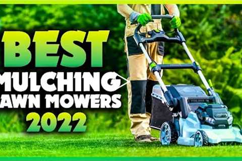 Top 5 Best Mulching Lawn Mowers You can Buy Right Now [2022]