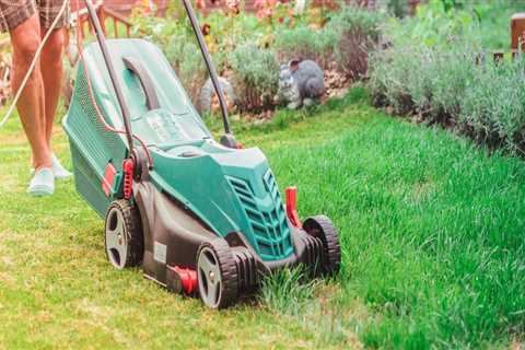 7 Easy Ways To Maintain A Healthy Lawn In Your Man Cave
