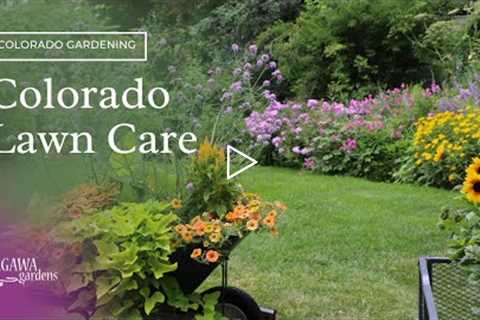 Colorado Lawn Care