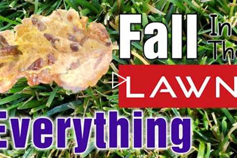 Everything YOU Need To Know About Fall Lawn Care