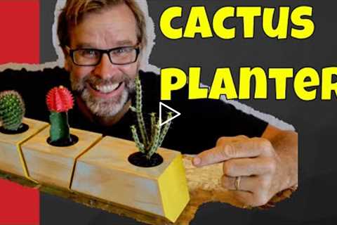 Scrap Wood Projects for Beginners...FUNKY Cactus Planter!