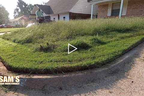 2 months no mow | Satisfying lawn mowing | Bagging WET grass | TALL grass mow | FREE