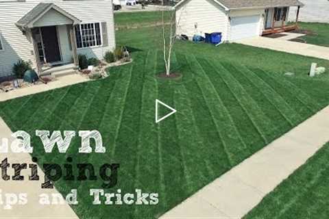 Lawn Striping - How To Achieve The Best Stripes In Your Lawn
