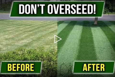 STOP OVERSEEDING! There's a Cheaper Way!!