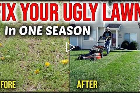 Fix An Ugly Lawn In ONE SEASON Without Seeding Or Overseeding