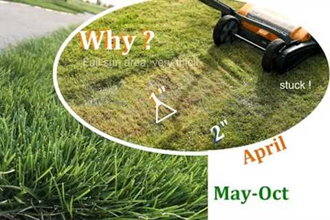 Lawn Care in Spring | Scalping My Zoysia Lawn | Why and How | Texas | DIY Lawn
