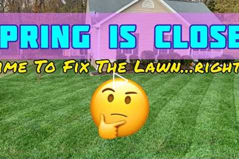 ‼START HERE‼ Before Spending Money On Spring Lawn Care! #DIY #Fescue