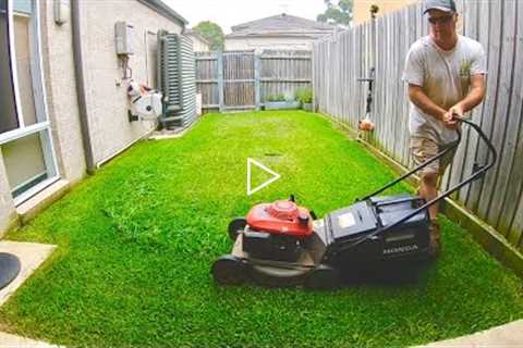 Lawn Mowing a small backyard Honda Lawn Mower Stihl Trimmer Blower