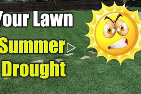 Summer Lawn Care - Hot Dry Drought Conditions