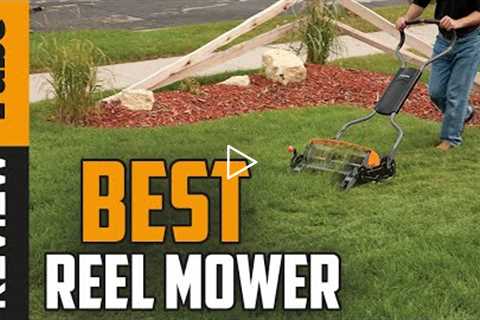 ✅ Reel Mower: Best Reel Mower 2021 (Buying Guide)
