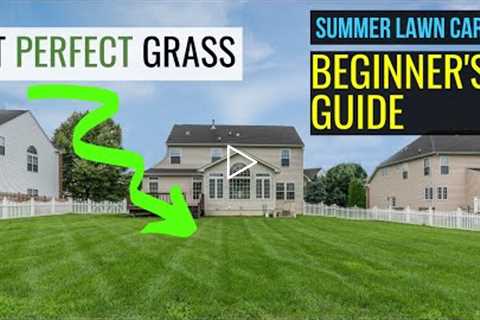 3 EASY STEPS: Summer LAWN CARE for Beginners | Get Perfect Grass!