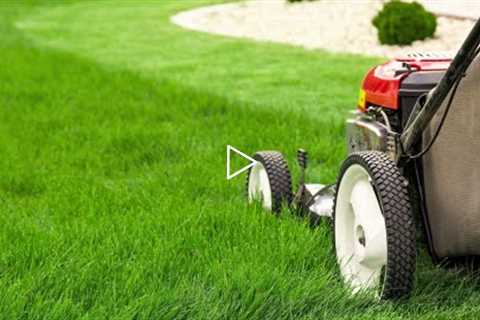 How to Properly Mow a Lawn - Is Mowing Tall or Short Better for the Roots?