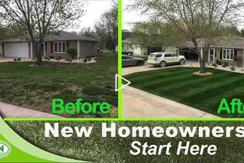 How-to Fix Your Ugly Lawn With This Single Lawn Application