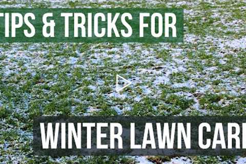 How to Do Winter Lawn Maintenance (Winter Lawn Care Tips)