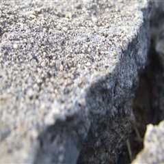 Should you repair cracks in concrete?