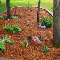 Why use mulch in garden?