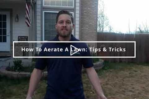 How To Aerate A Lawn: Tips & Tricks From a Lawn Care Service PRO!