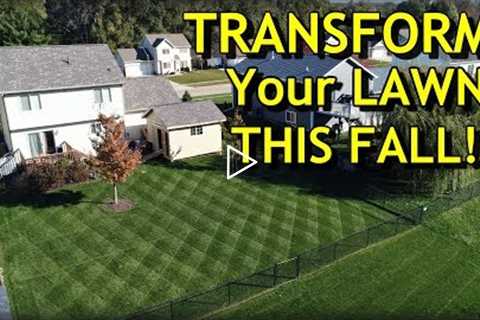 Your COMPLETE Guide to Fall Lawn Care