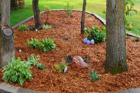 When do you mulch your garden?