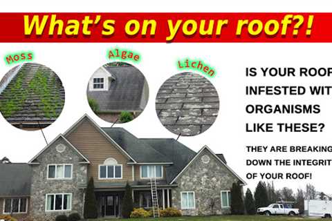 Affordable Roof Cleaning Services in Syracuse NY