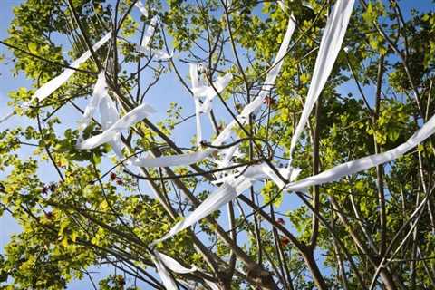 How To Get Toilet Paper Out of Trees