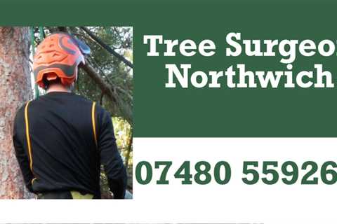 Tree Surgeon Tarporley