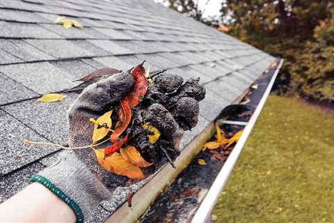 Things You Will Need for Gutter Cleaning – Spaorazio