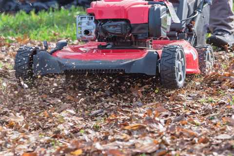 Here's Why Mowing Leaves Is Better Than Raking Them