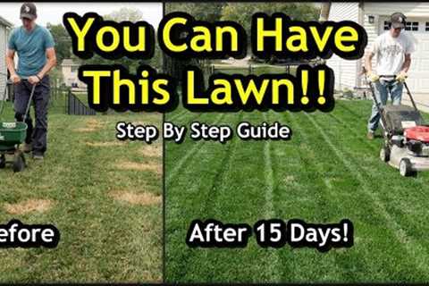 Fix an Ugly Lawn with Overseeding // Complete Step by Step Guide For Beginners