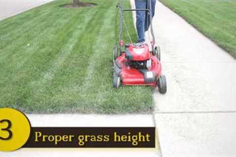 Lawn Care: Mowing Tips You May Not Know | HomeChannelTV