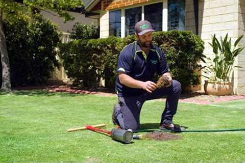 The Garden Gurus - Lawn Maintenance Plan - SST BIAGRA