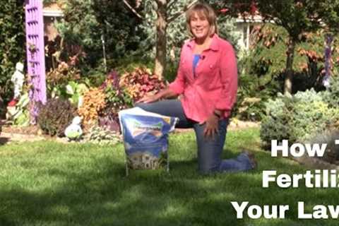 How To Fertilize Your Lawn