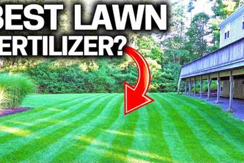 What is the BEST LAWN Fertilizer - STOP Wasting Money!