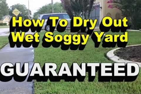 Wet Soggy Yard?