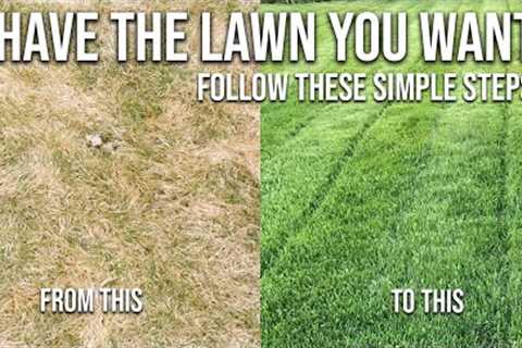 Spring Lawn Care Steps - How To Have THE BEST Looking Lawn In The Neighbourhood This Spring