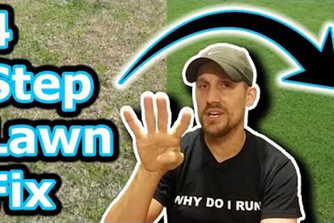 Beginner Lawn Care Tips // How To Improve Your Lawn in 4 Easy Steps // Lawn Motivation