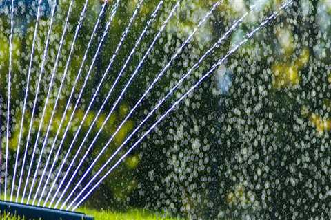 The Advantages Of Installing An Irrigation System When Caring For Trees Around Your Omaha Home