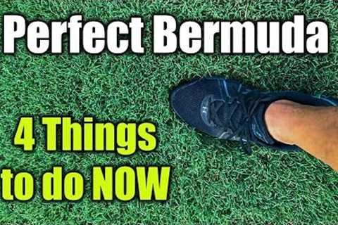 Improve Bermuda Grass Lawn Health and Thickness