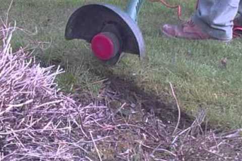 How to Use a String Trimmer Properly - Edging flower bed
