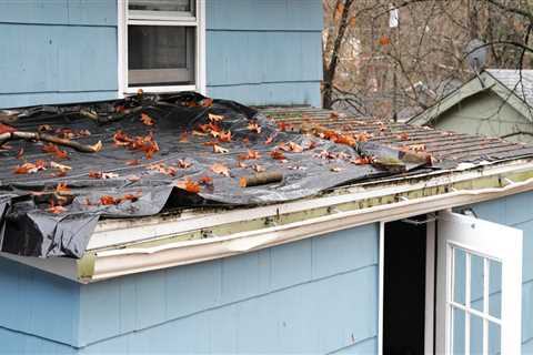 Does roof cleaning damage roof?