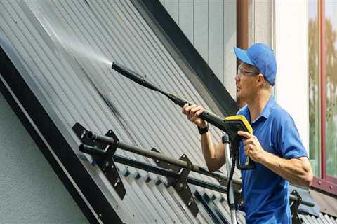 Best cleaner for roof shingles?