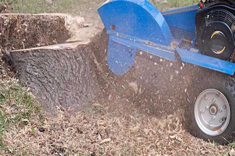 How much should it cost to grind a tree stump?