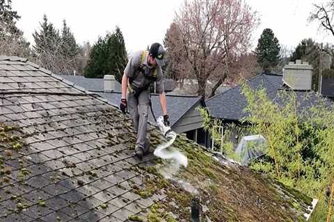 Is it necessary to remove moss from a roof?