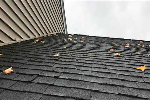 Is moss on my roof bad?