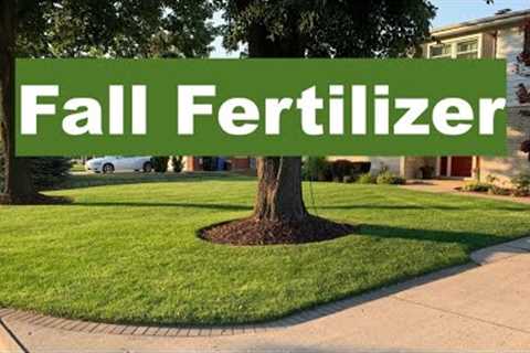 FALL FERTILIZER for a THICK GREEN LAWN