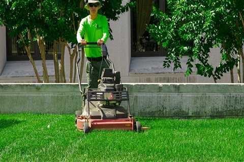 What does lawn care include?
