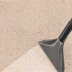 What carpet cleaning solution is the best?