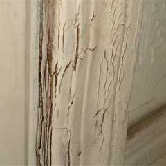 Are plaster walls toxic?