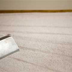 Does carpet cleaning actually work?