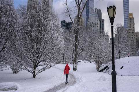 How much does it cost to cut a tree in nyc?